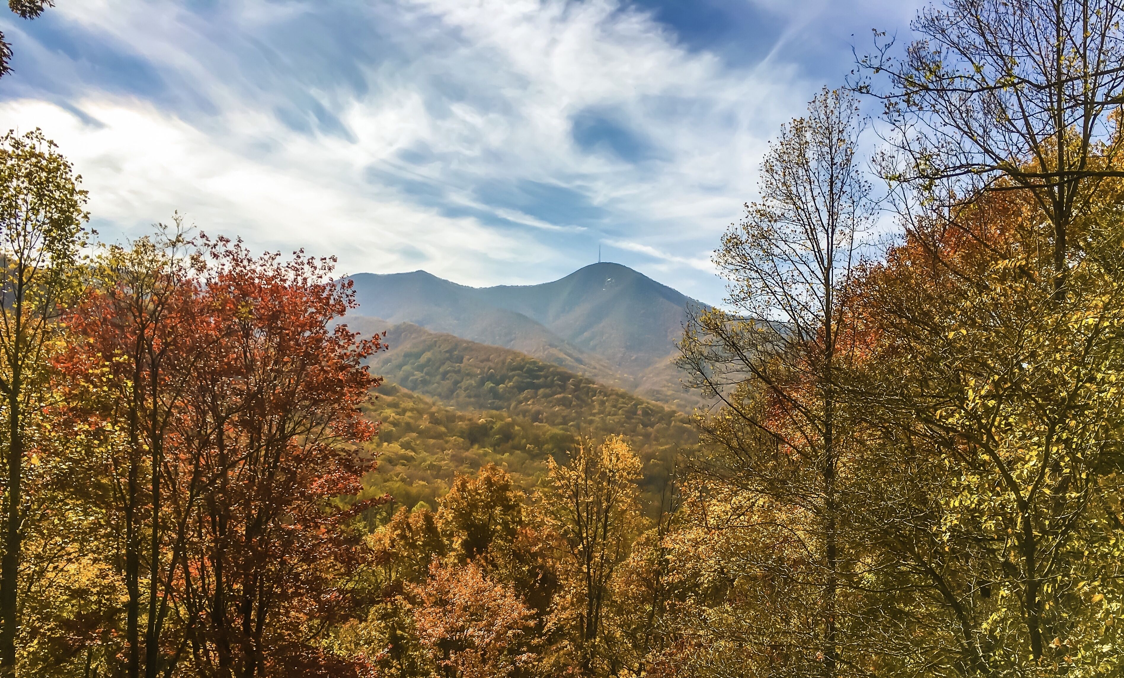 A mountainous landscape with autumn foliage.