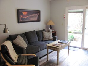 Smart TV - WALK TO LIFTS/RESTAURANTS/SHOPS/LISTEN TO THE STREAM/WATCH SKIERS FROM YOUR KIT. (Telluride)