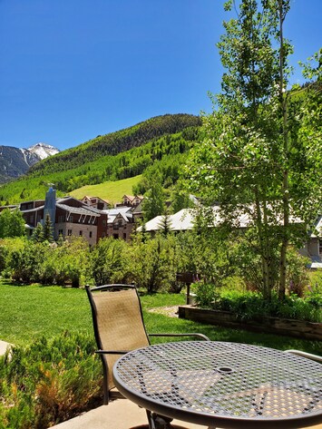 Back patio has mountain views, ski run views, San Miguel River. 