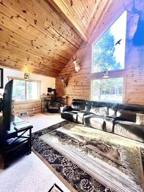 TV, fireplace, video games, DVD player