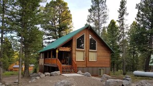 A wooden cabin with a green roof, surrounded by trees and rocks. - Rhodehouse Retreat! Your destination for Year Round Fun! (Island Park)