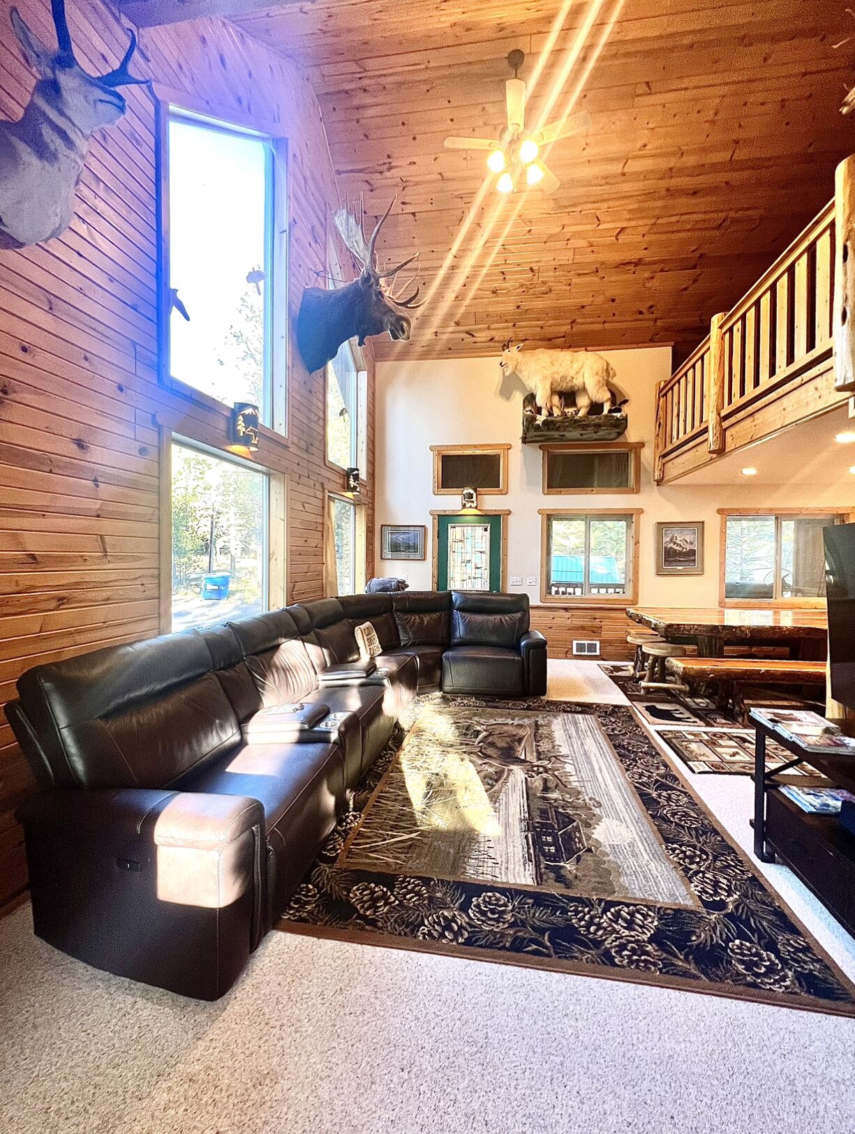 TV, fireplace, video games, DVD player