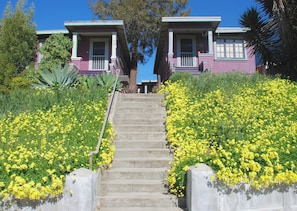 A set of concrete stairs leading up to a building with a purple exterior and a porch. - Waterfront Historic Bungalow One• Ferry to SF (Vallejo)