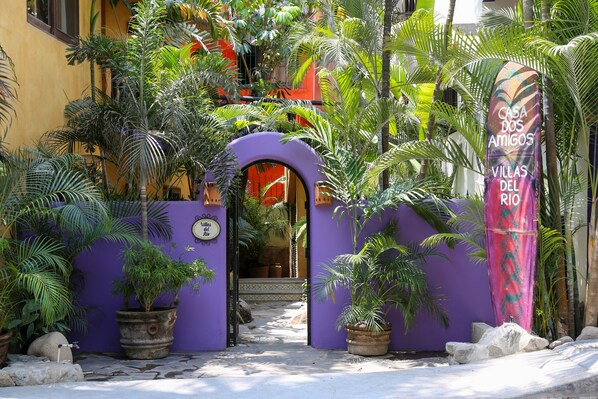 A narrow pathway leading to a building entrance, surrounded by lush tropical plants and a purple wall.