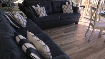 Smart TV, DVD player, books, video library