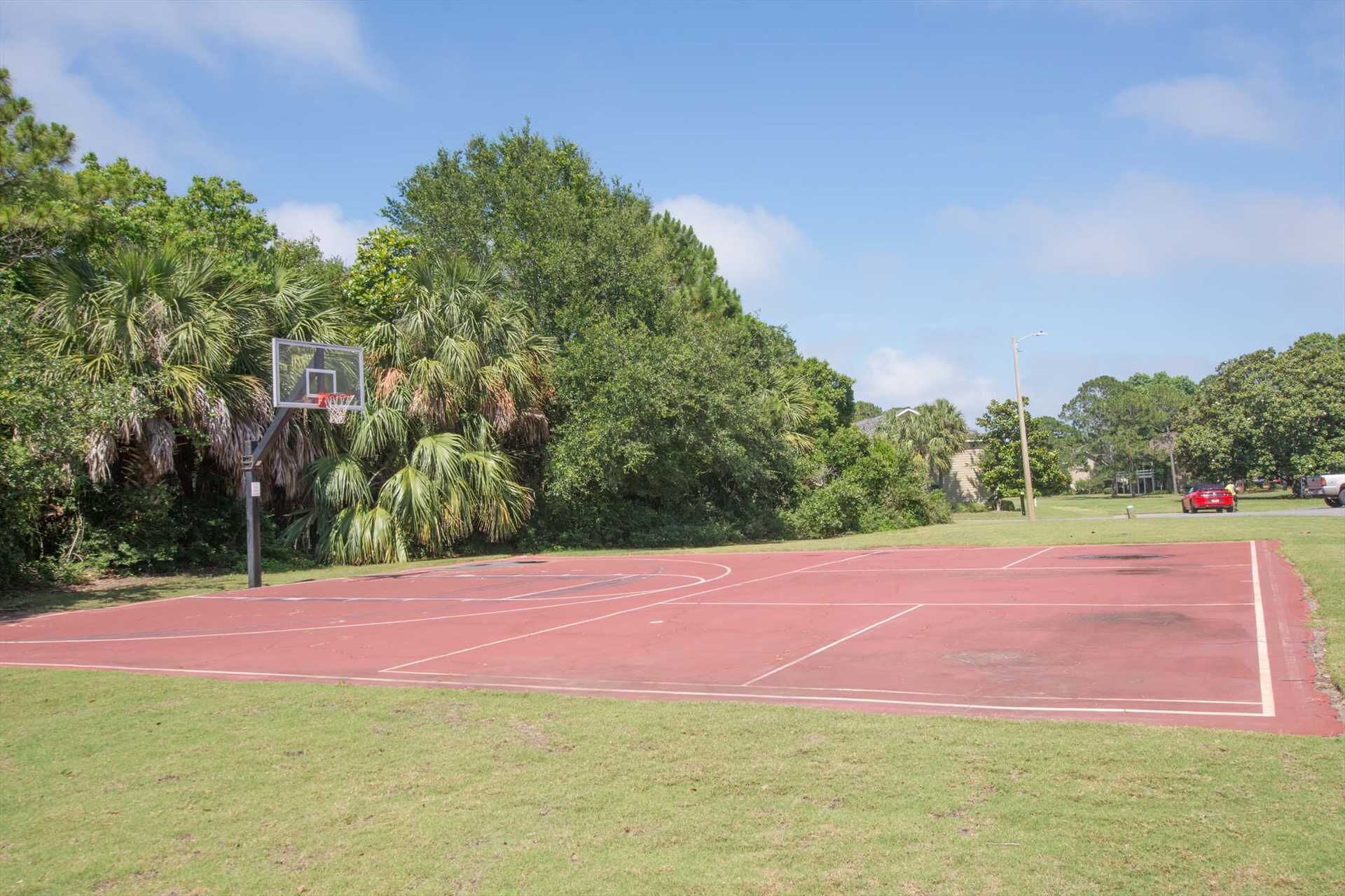 Een buitenbasketballbaan met een basket, omringd door weelderige begroeiing en bomen.