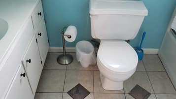 Combined shower/bathtub, hair dryer, towels, soap