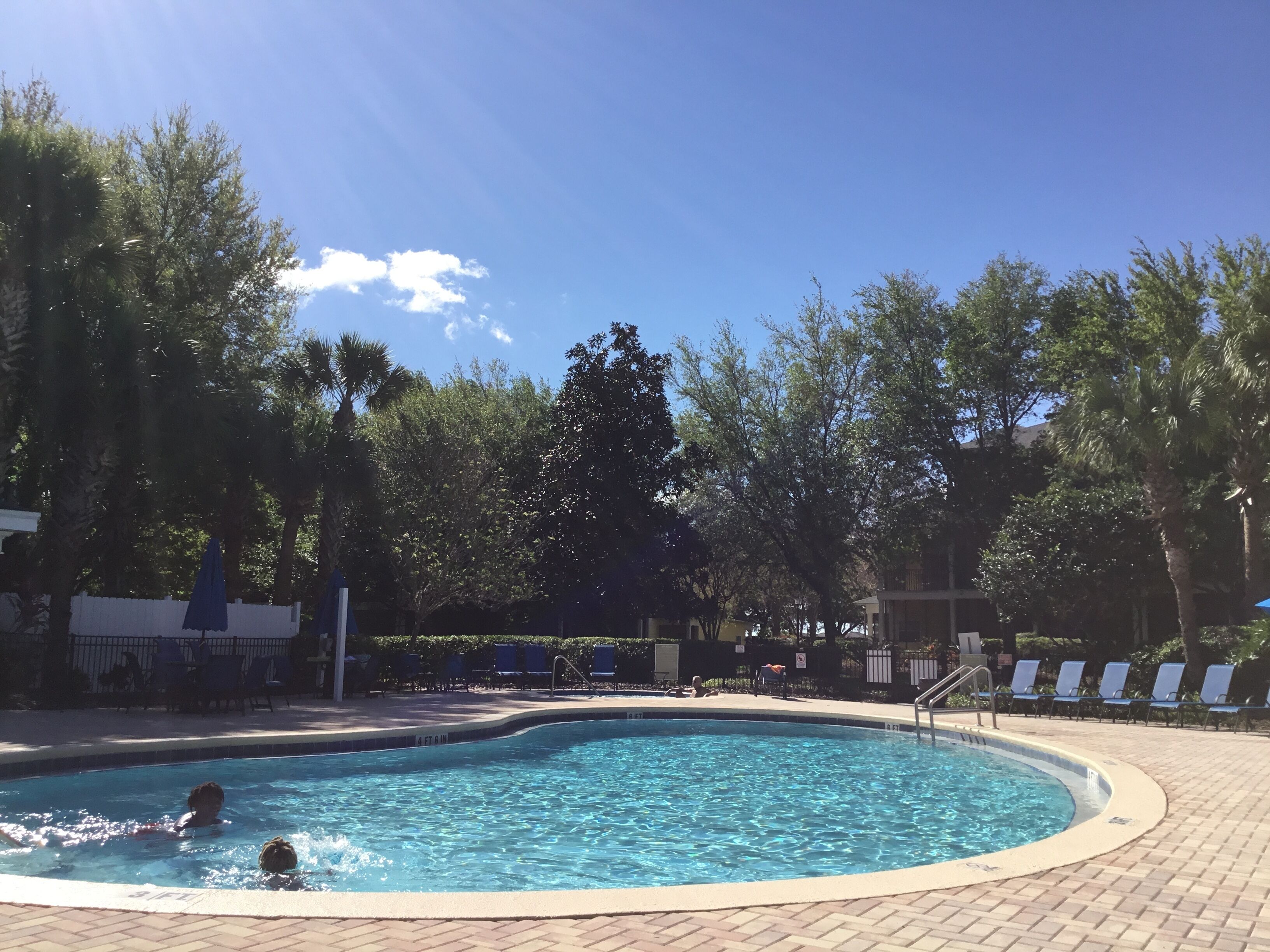 Ein Pool mit Backsteinrand, umgeben von Bäumen und Liegestühlen.