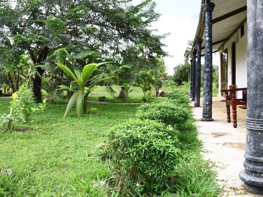 Vista al jardín