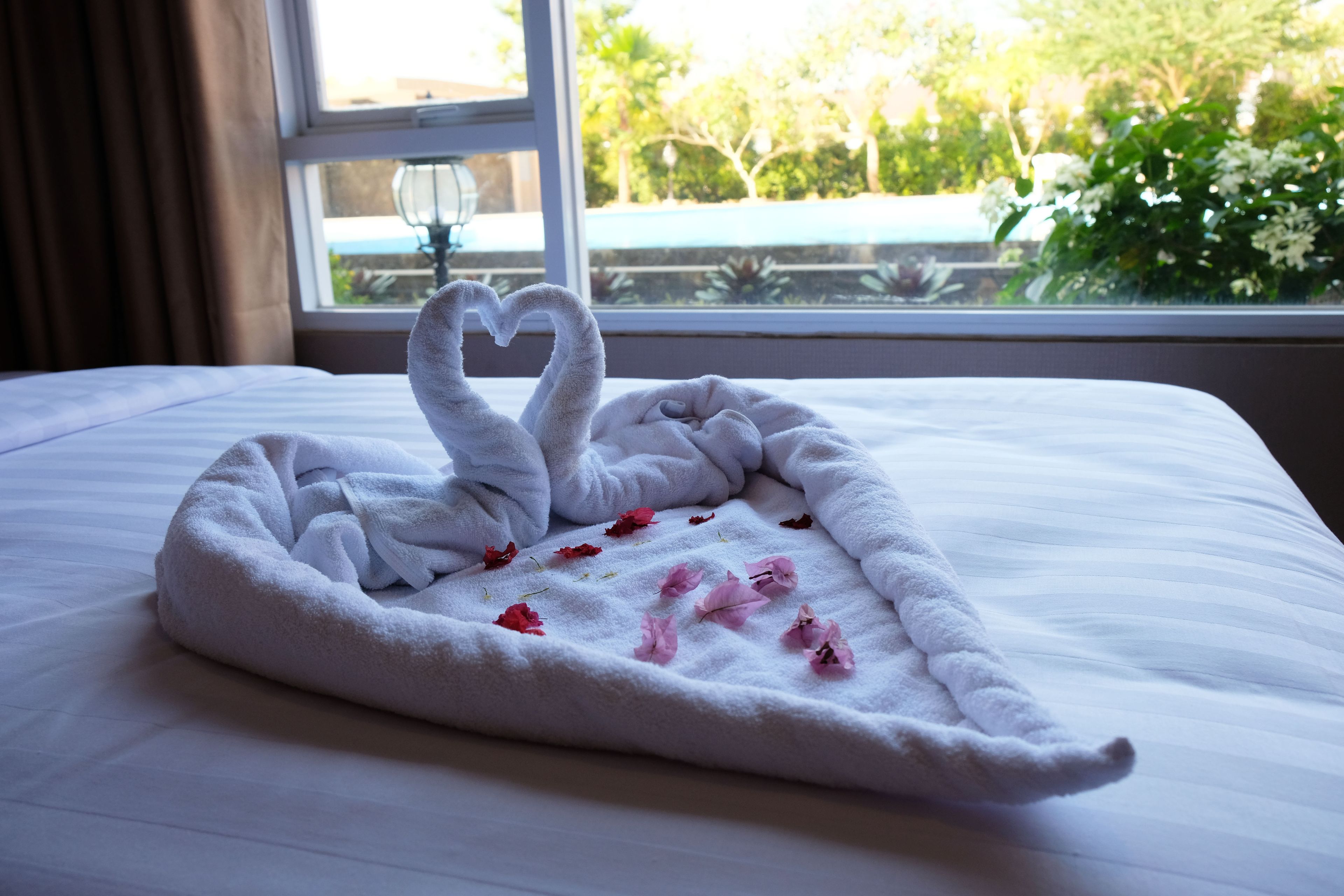 Caja fuerte, escritorio, cortinas opacas y sistema de insonorización