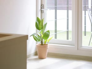 Ropa de cama de alta calidad, wifi gratis y ropa de cama