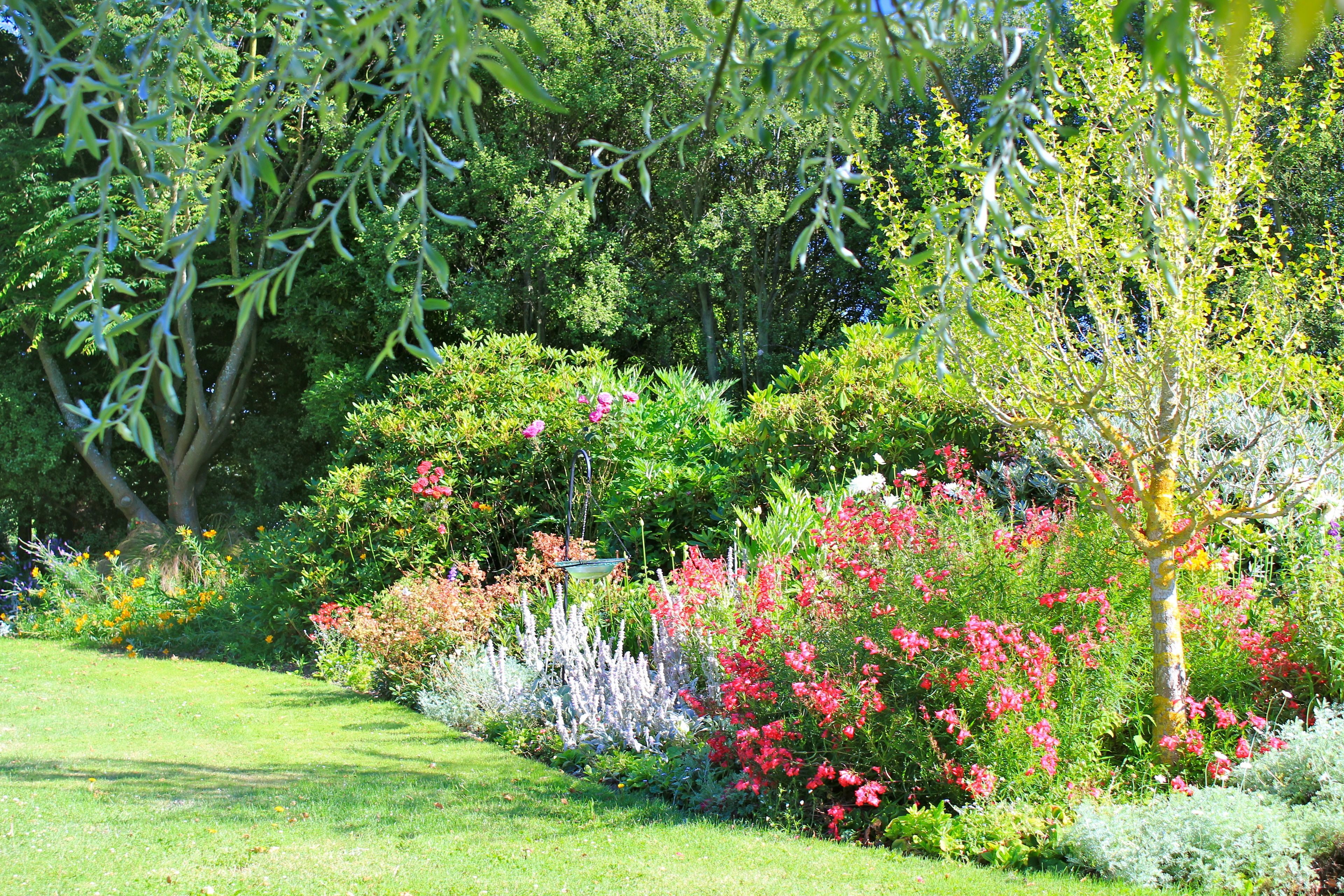 A garden with various plants and trees, a pathway, and a hanging garden structure.