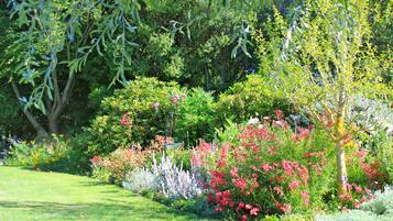 A garden with various plants and trees, a pathway, and a hanging garden structure.