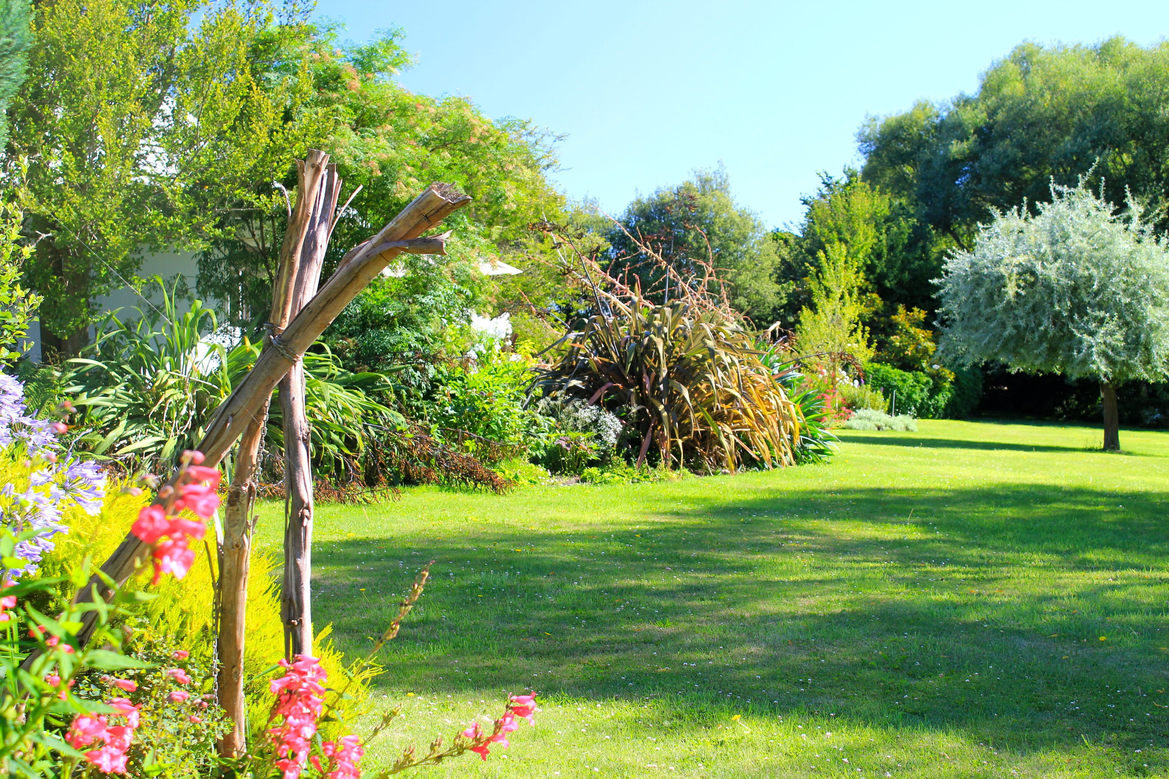 Un jardín bien cuidado con diversas plantas y árboles, una pérgola de madera y un cielo despejado.