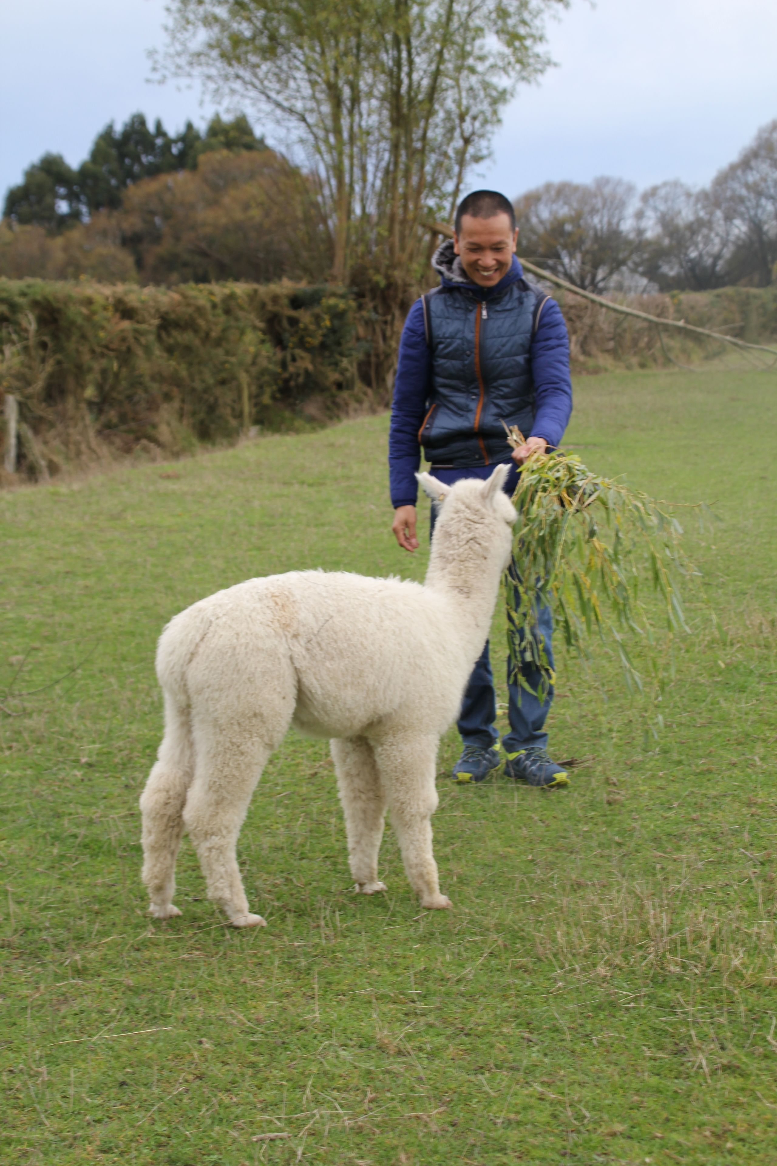 Een persoon die met een wit schaap in een grasveld samenleeft.