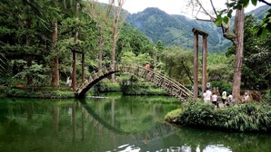 A wooden bridge over a calm river surrounded by lush greenery and trees. - Ginkgo Hotel (Lugu)