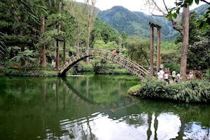 Un puente de madera cruza un río tranquilo rodeado de abundante vegetación y árboles.