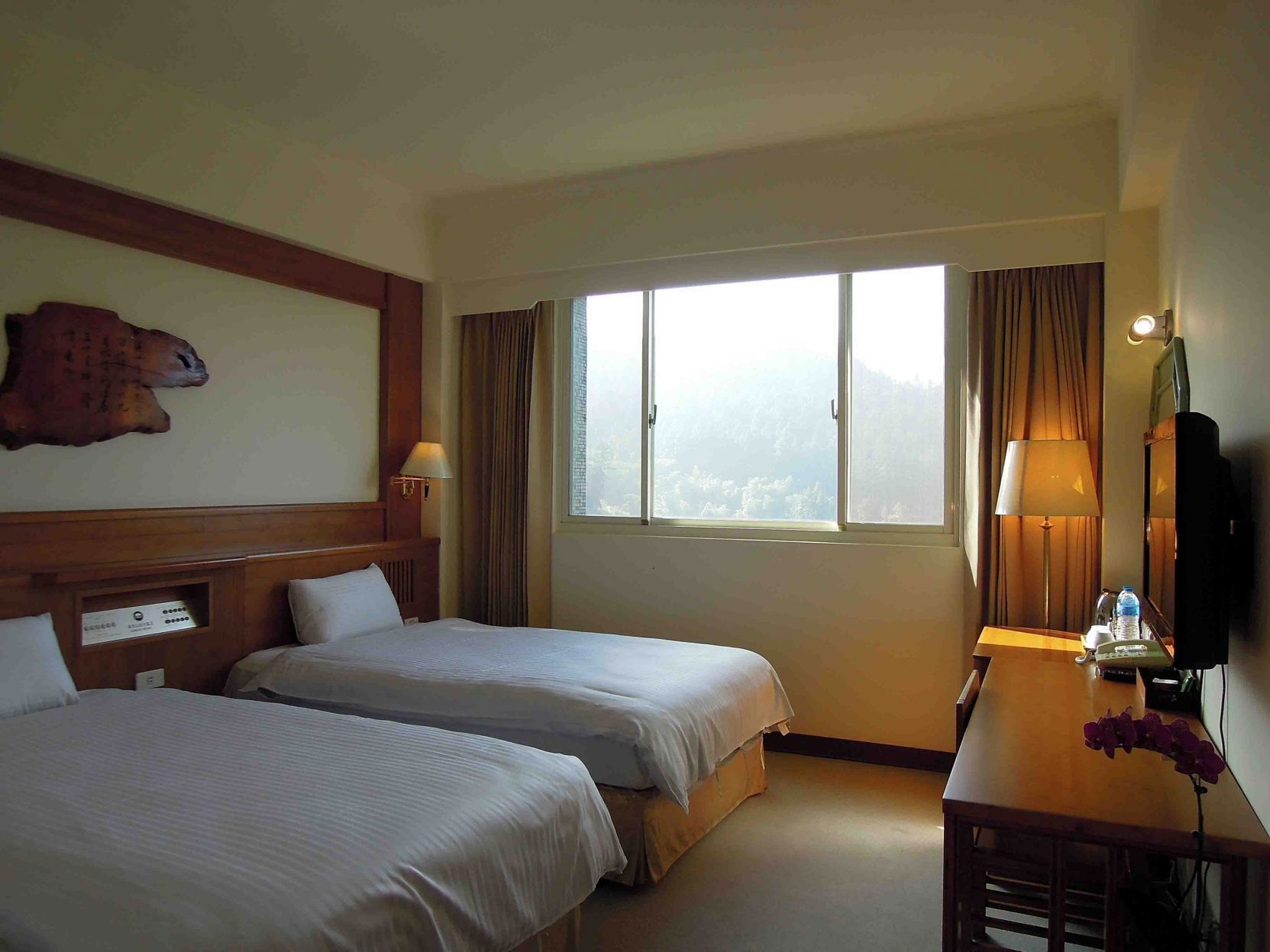 Premium bedding, down comforters, free minibar, desk