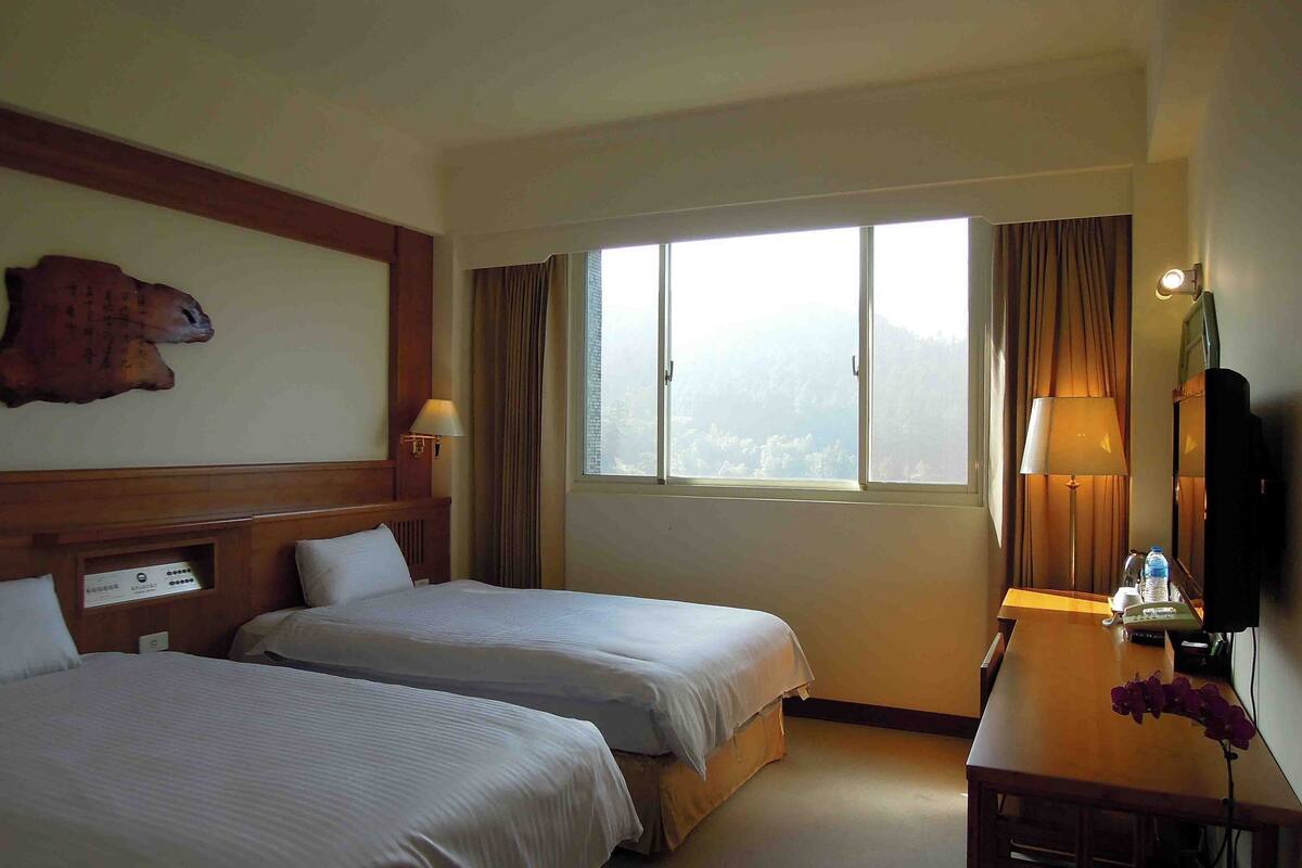 standard twin room, 2 single beds, mountain view | desk, blackout curtains, free wifi, bed sheets