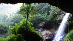 A lush forested area with a waterfall and a wooden viewing platform. - Ginkgo Hotel (Lugu)