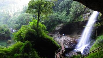 Un área boscosa y exuberante con una cascada y una pasarela de madera.