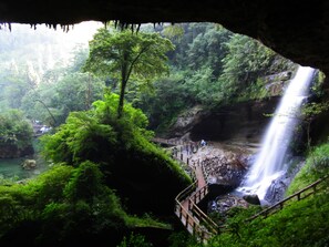 Un área boscosa y exuberante con una cascada y una pasarela de madera.