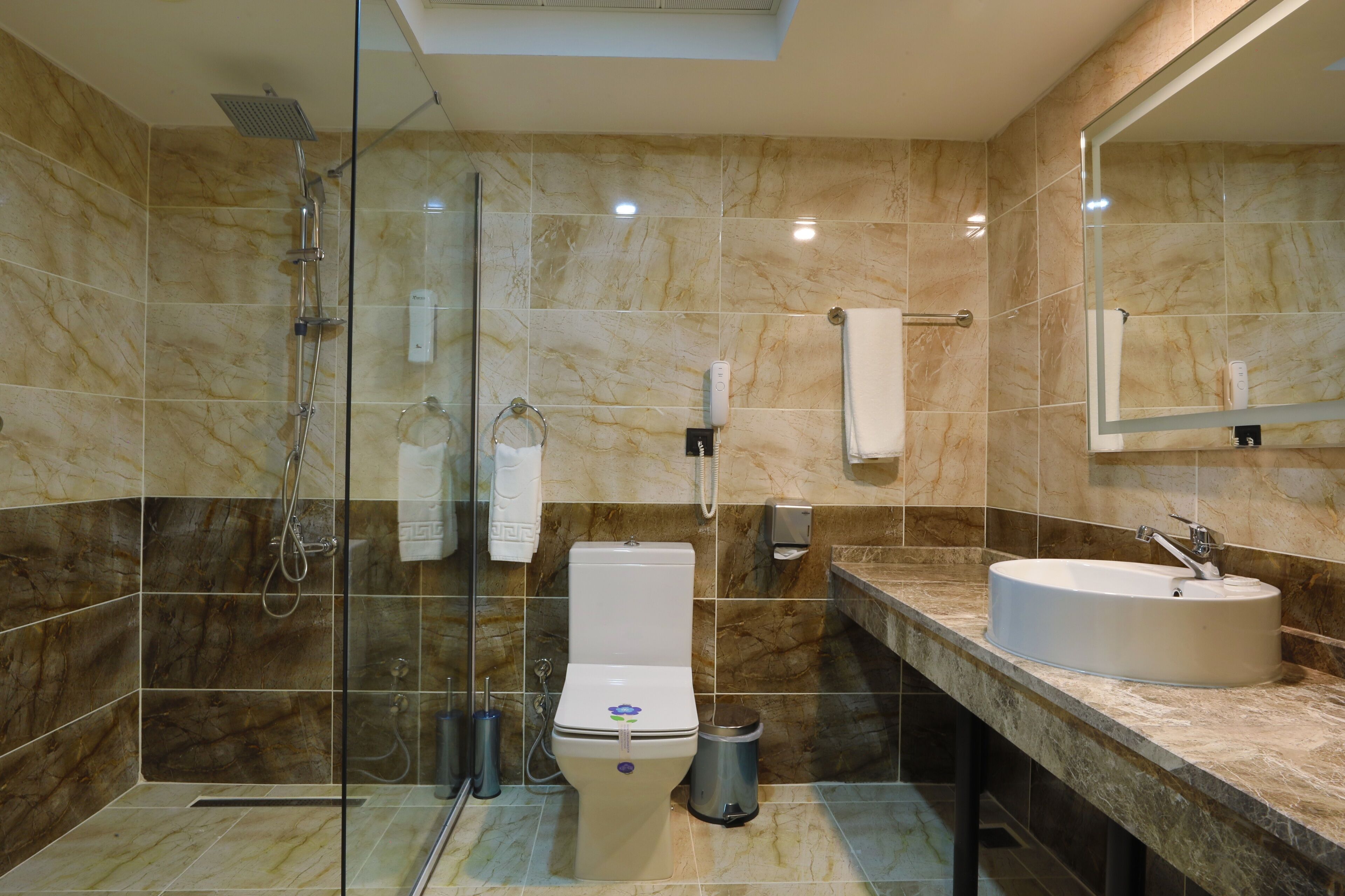 A modern bathroom with a glass-enclosed shower, a toilet, a sink, and a large mirror.