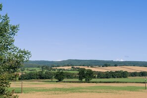 Vista des de l'allotjament