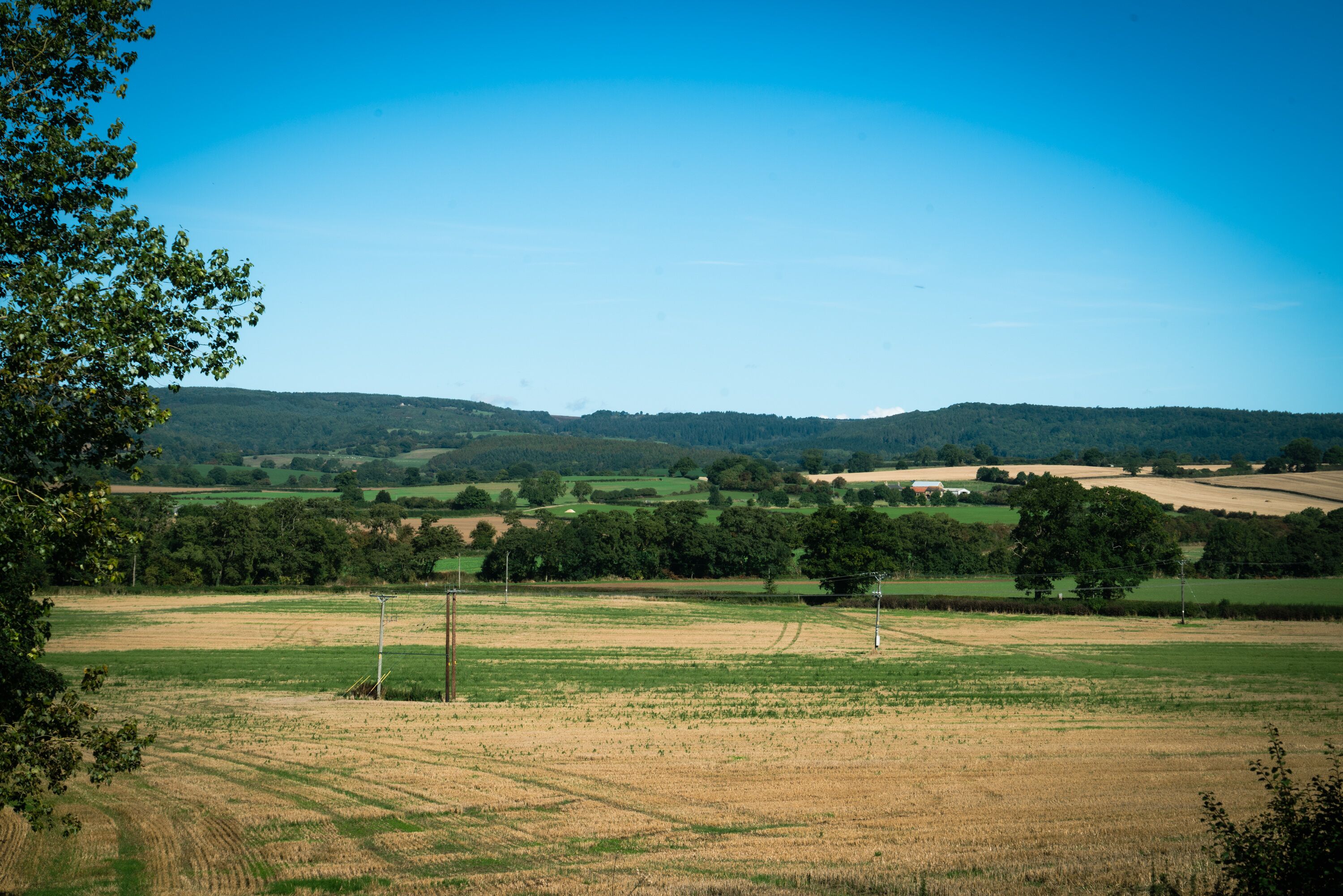 Ländliche Landschaft mit Feldern, Bäumen und Hügeln in der Ferne.