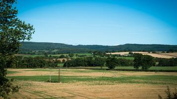Ländliche Landschaft mit Feldern, Bäumen und Hügeln in der Ferne.
