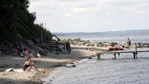 A beach with a wooden pier, a rocky shoreline, and a calm body of water. - Dancamps Trelde Næs (Fredericia)