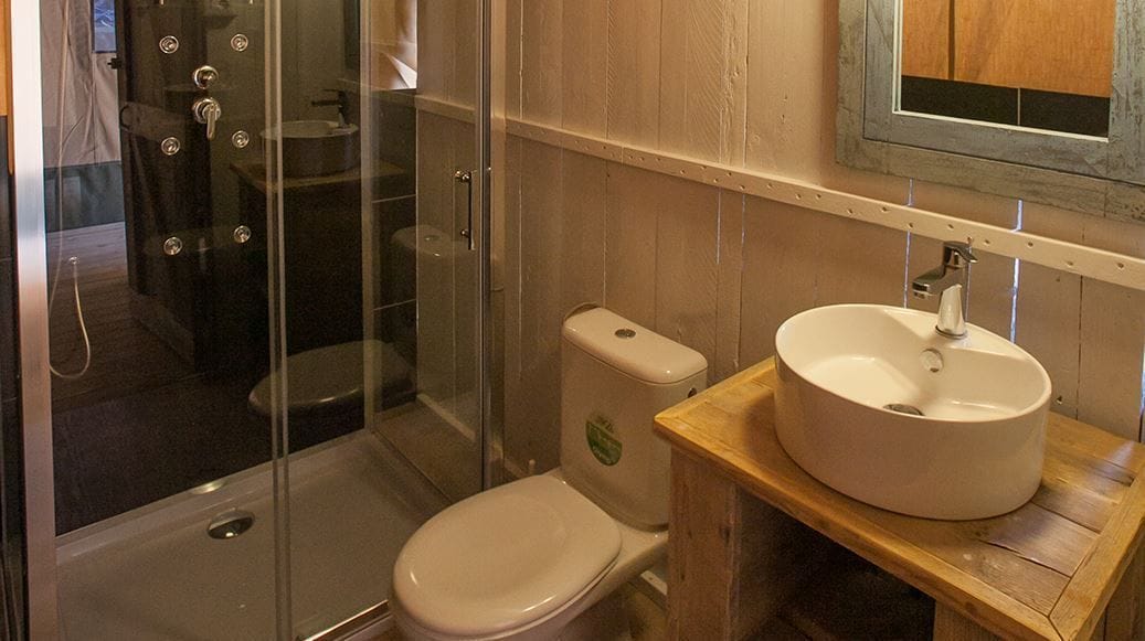 A bathroom with a glass-enclosed shower, a toilet, and a wooden vanity with a sink.