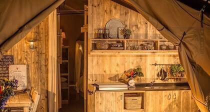 Dancamps Trelde Næs