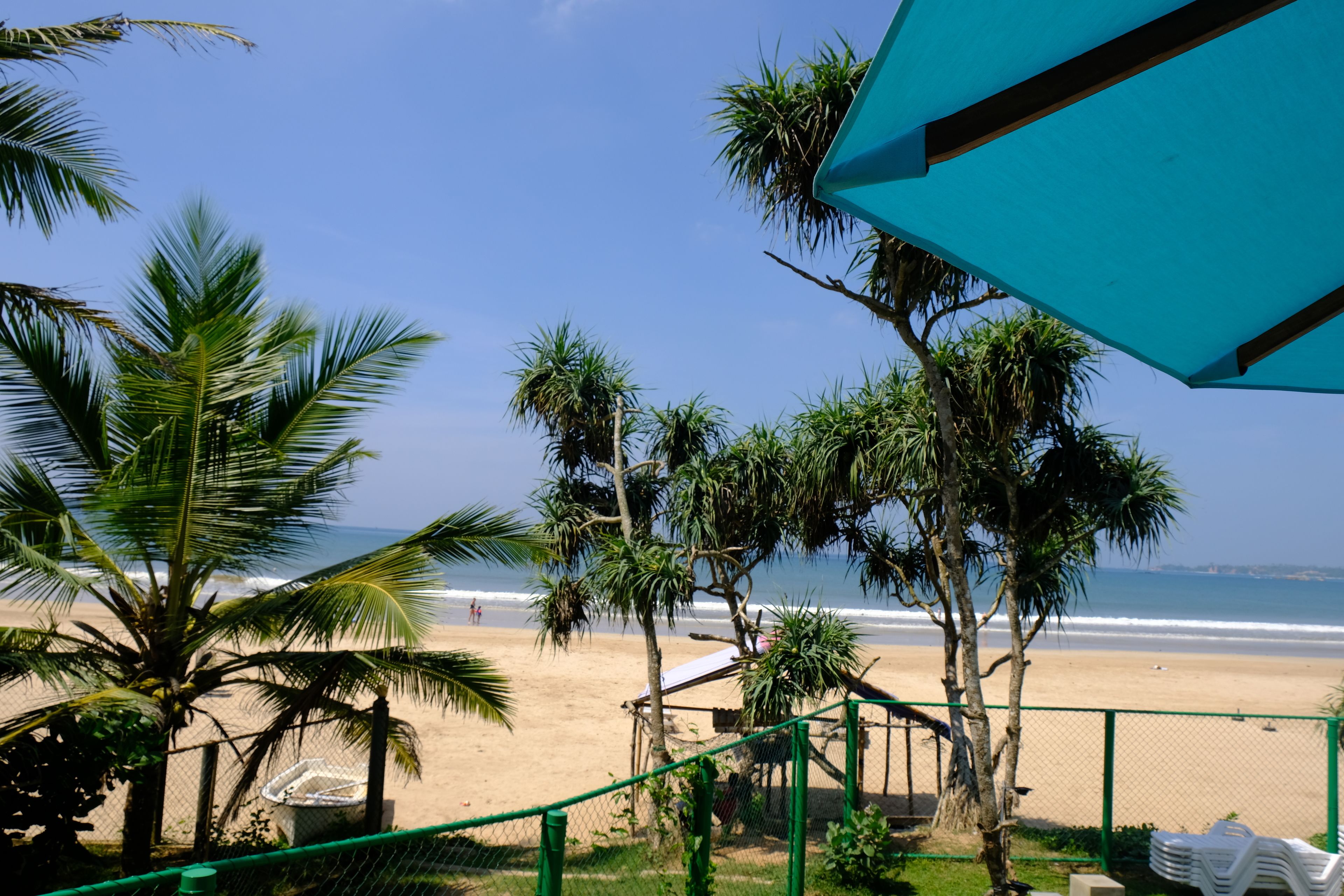 A beach view with palm trees, a fence, and a blue umbrella.