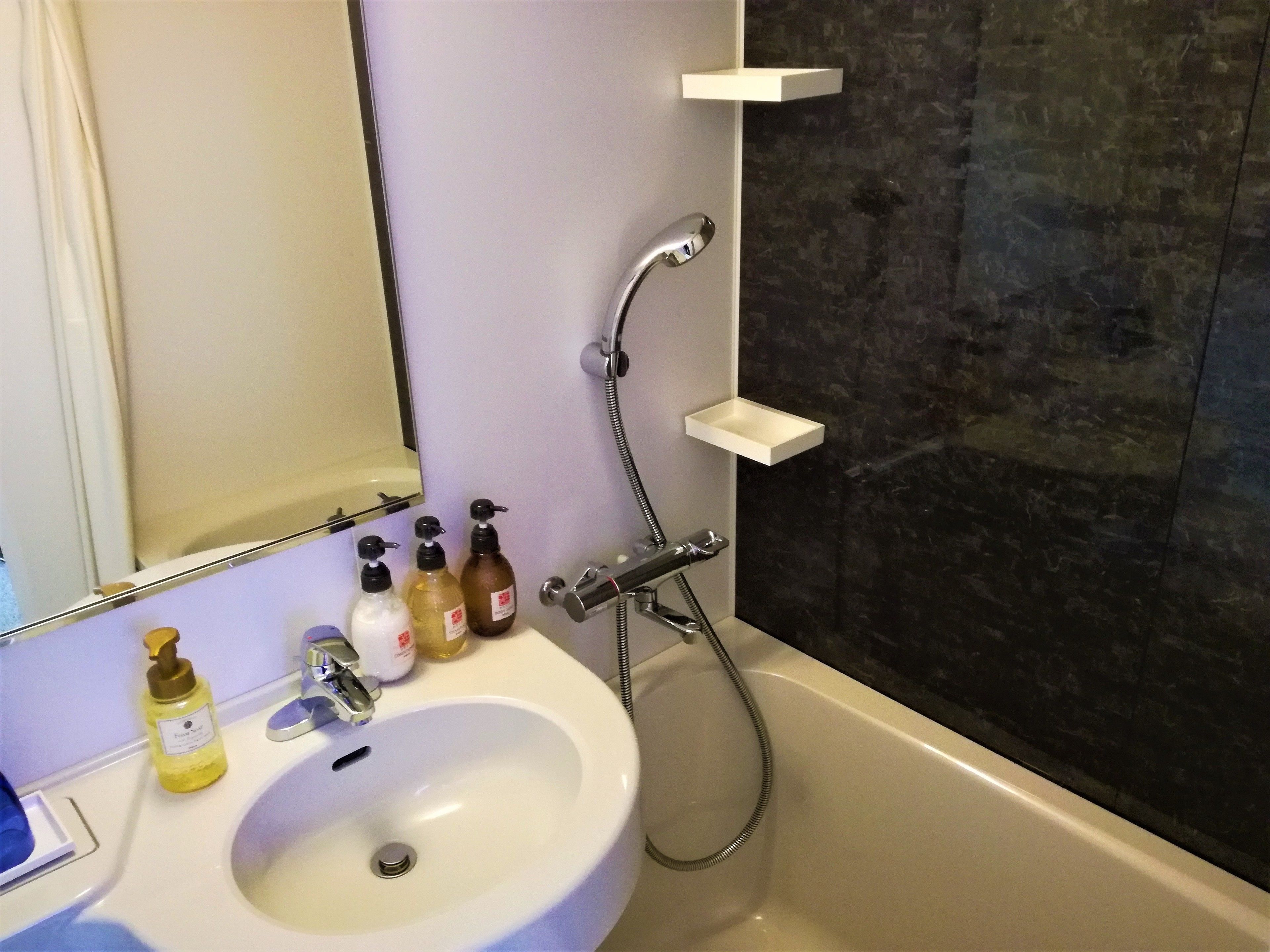 combined shower/bathtub, free toiletries, hair dryer, slippers