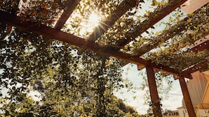 A pergola covered with climbing plants and sunlight filtering through the leaves. - Pousada do Anhangava (Quatro Barras)
