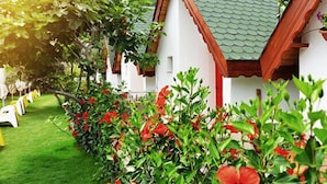 Bungalow – standard | Wi-fi (inkludert)