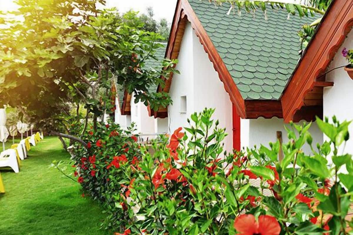 Standaard bungalow | Gratis wifi