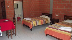 Habitación clásica con 2 camas individuales | Tabla de planchar con plancha y wifi gratis 