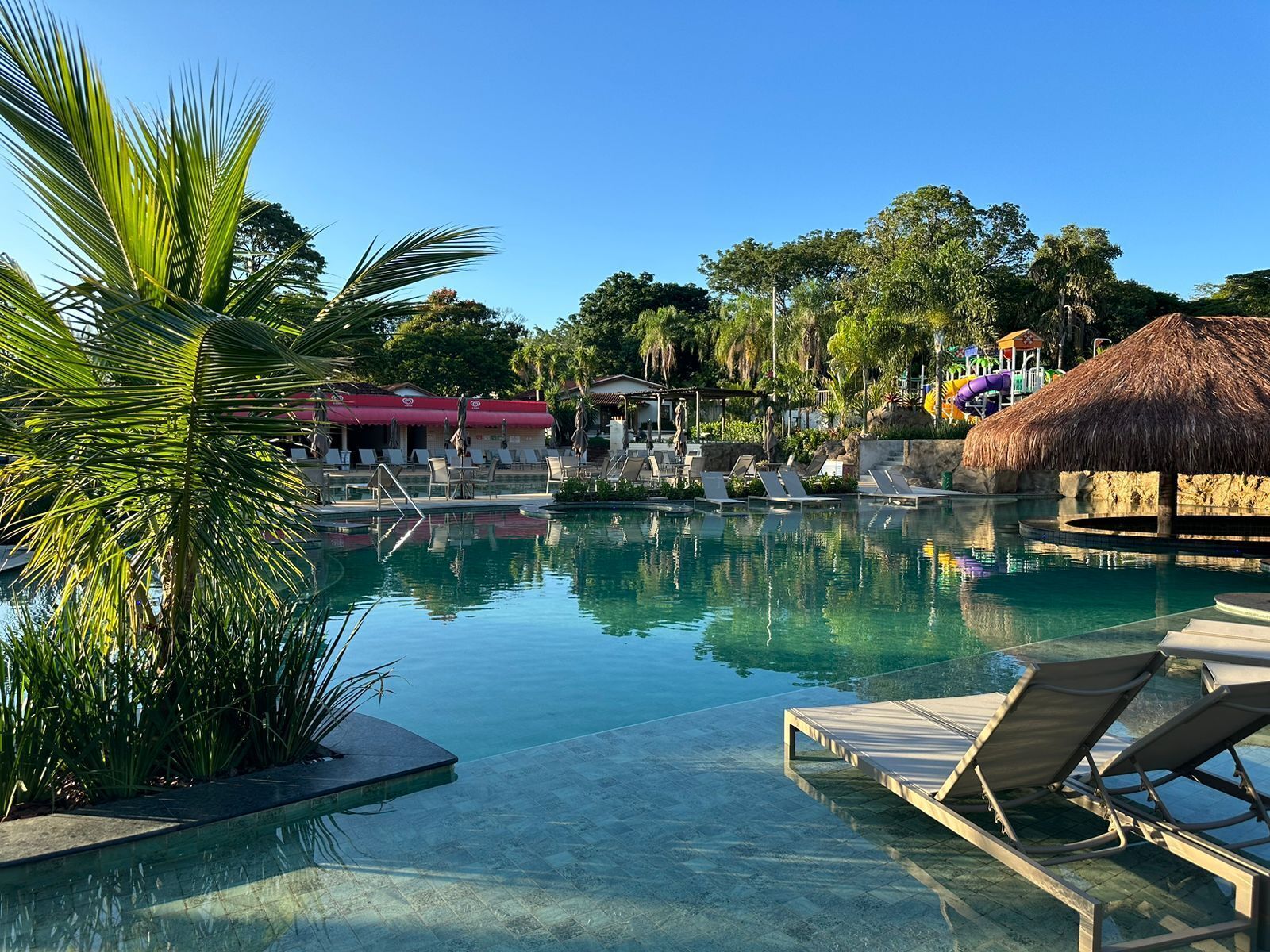 3 albercas al aire libre y camastros 