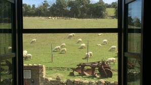 A view of a green field with sheep grazing, a stone wall, and a tractor.