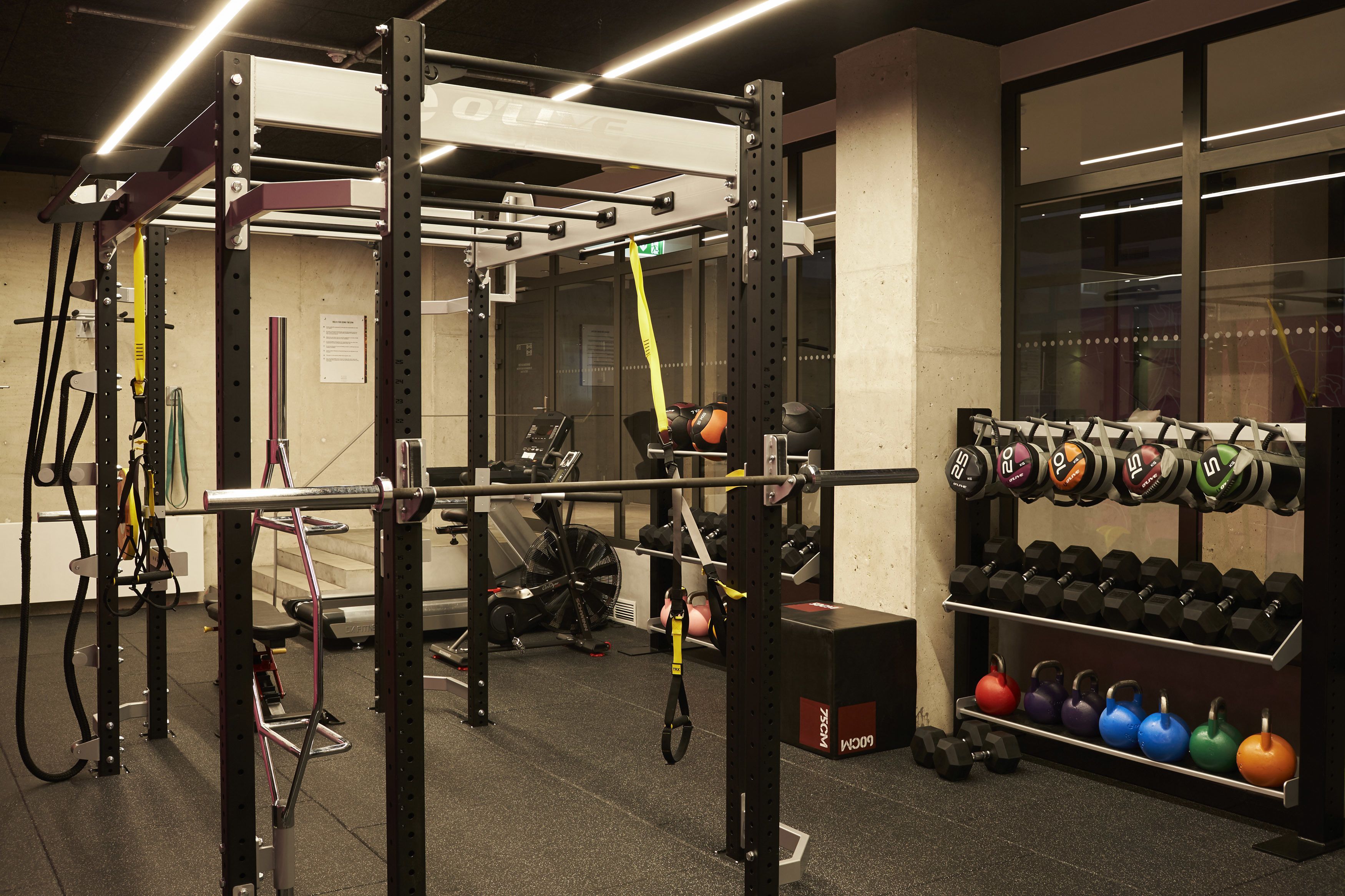 Gimnasium