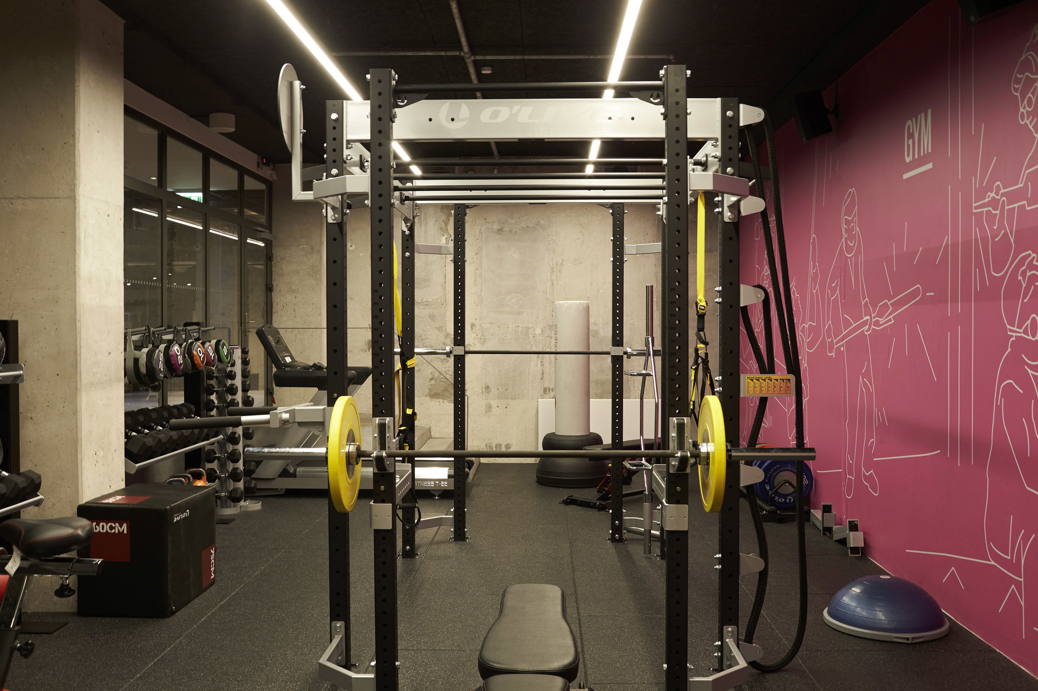 A gym with weightlifting equipment, a bench, and a wall with drawings.