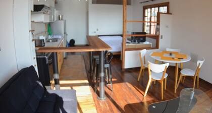 Lofts Parque Mirador Cerro Alegre