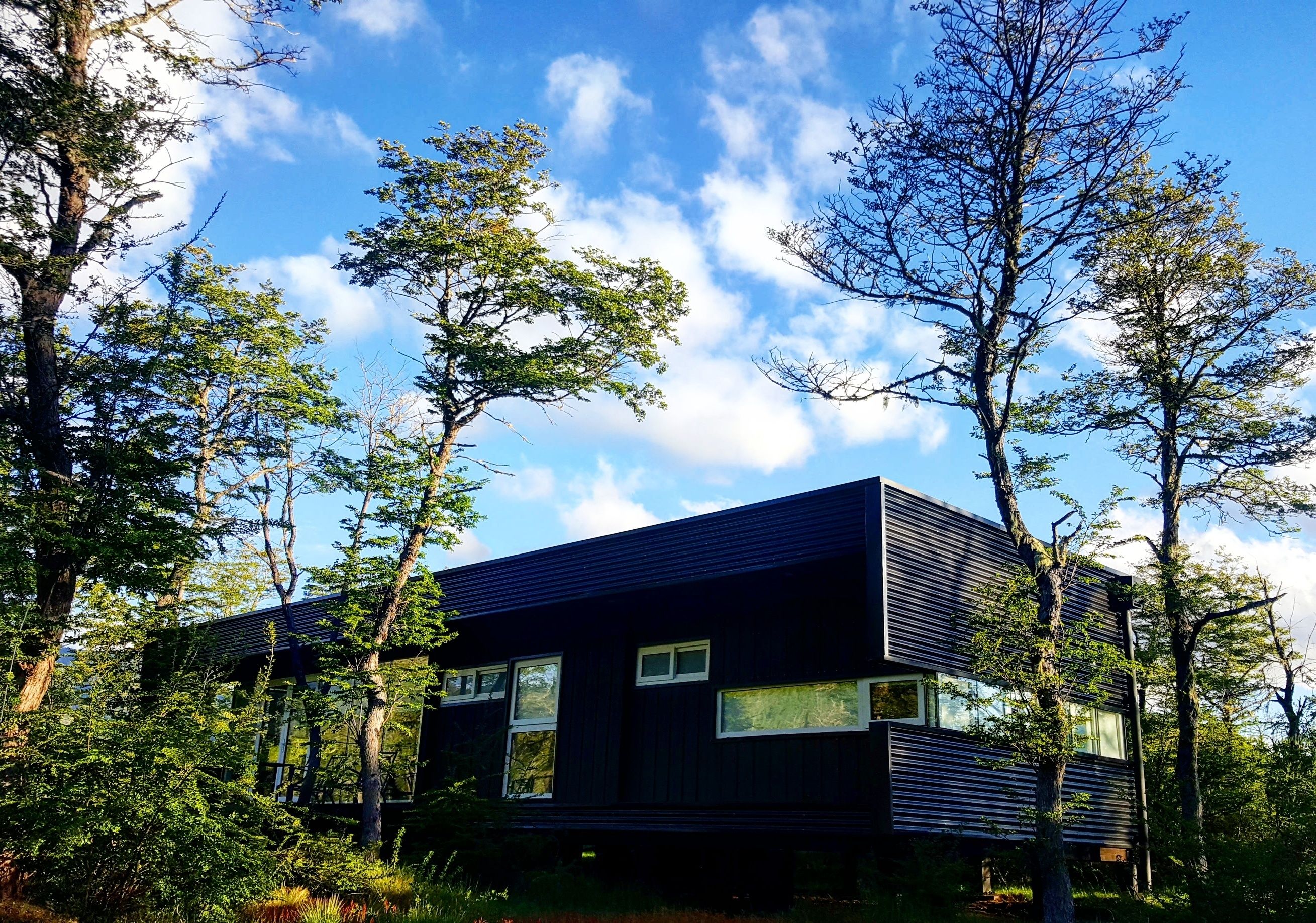 Uma casa moderna rodeada por árvores.