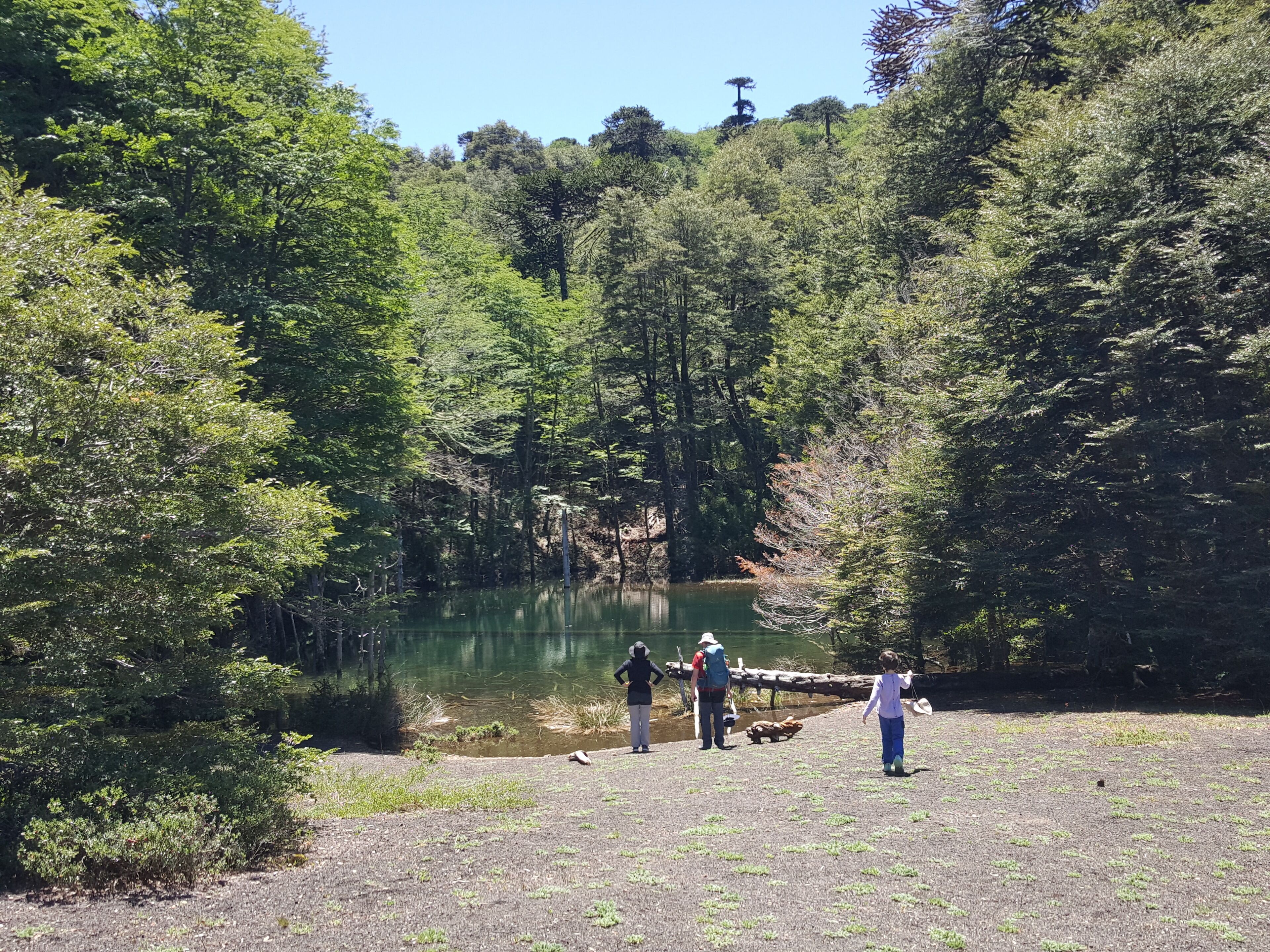 Entorno natural con un lago rodeado de bosque denso, una zona pavimentada y personas cerca de la orilla.
