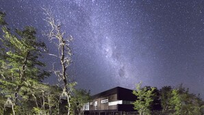 Un bâtiment moderne au design minimaliste, entouré d’arbres sous un ciel étoilé.