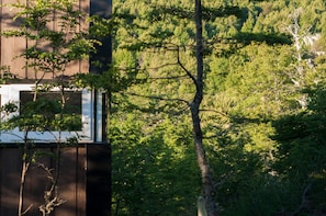 Detalle exterior