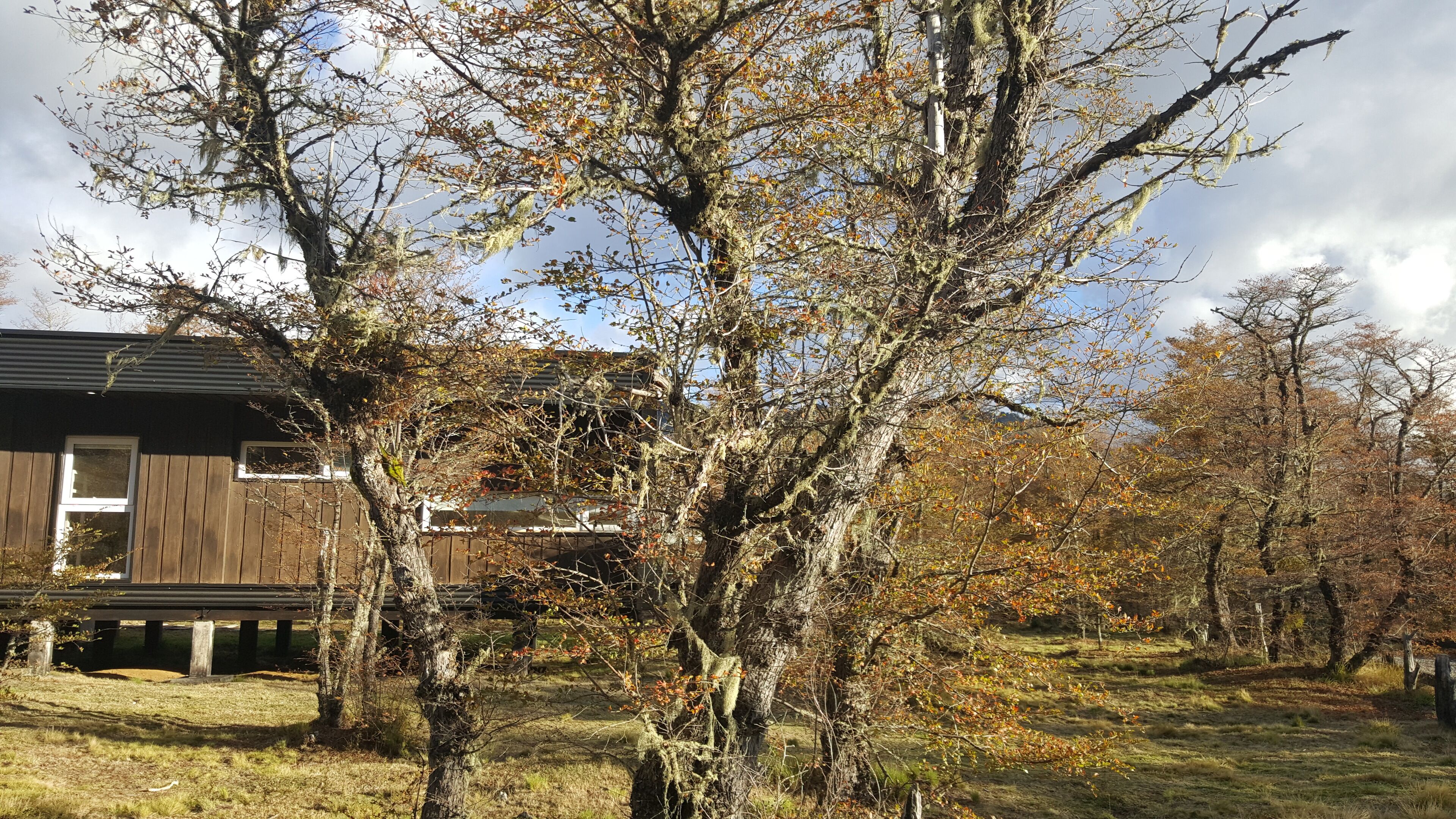 A rustic cabin with a wooden exterior and a metal roof, surrounded by a natural landscape with trees and a grassy field.
