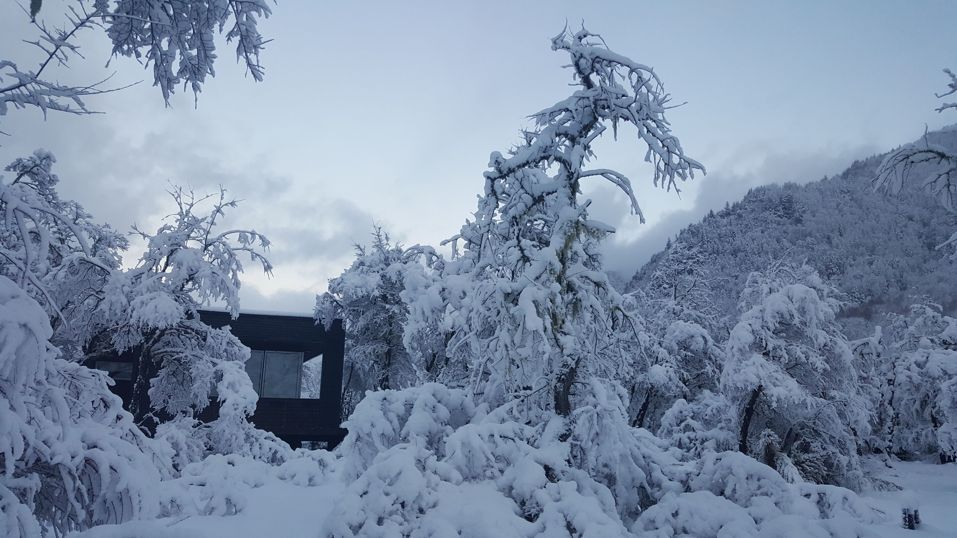 Un paisaje nevado con un edificio que tiene un ventanal grande y fachada oscura.